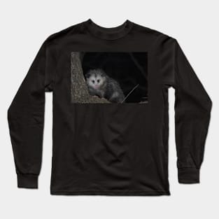 Opossum up a tree Long Sleeve T-Shirt